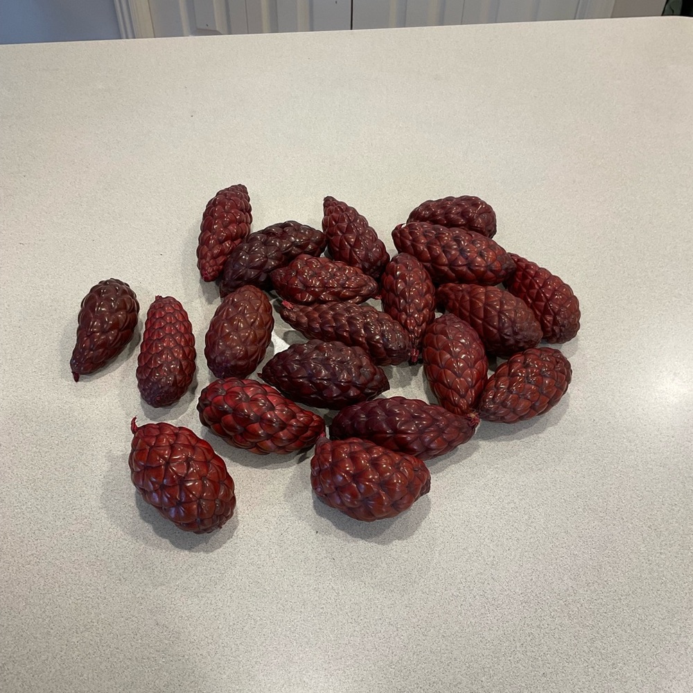 Bowl/vase filler set of 20 pods